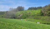 Tour Wandern Feitweiler - rando honville 18-05-2023 - Photo 7