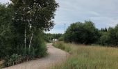 Percorso Marcia Waimes - Promenade de Poleur  - Photo 1