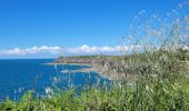 Trail Walking Cancale - basse cancale  - Photo 3