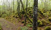 Randonnée Marche Saint-Pierre-le-Chastel - St Pierre le Chatel Tournebise - Photo 2