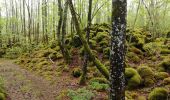 Tocht Stappen Saint-Pierre-le-Chastel - St Pierre le Chatel Tournebise - Photo 2