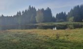 Excursión Senderismo Écromagny - Les 1000 étangs à Ecromagny - Photo 4