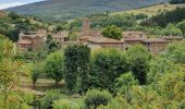 Tour Wandern Sainte-Croix-en-Jarez - Saint Croix en Jarrez - Photo 13
