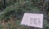 Trail Walking Plouay - PR_56_Plouay_AA_01_Manehouarn-Au-Scorff_Circuit1b_20240904 - Photo 4
