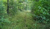 Trail Walking Marray - Marray - Les versants de la Dême - Photo 14