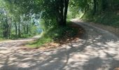 Tour Wandern Val-Revermont - Le mont Myon  - Photo 1