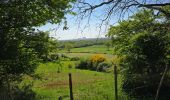 Tocht Stappen Vigneux-de-Bretagne - De Vigneux de Bretagne à Savenay  - Photo 6