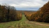 Excursión Senderismo Compiègne - Forêt de Compiègne - Photo 1