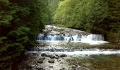 Excursión A pie okres Liptovský Mikuláš - SK-Náučný ovčiarsky chodník v Račkovej doline - Photo 5