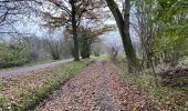 Trail Walking Sint-Niklaas - Sinaai 23 km - Photo 7