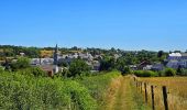 Randonnée Marche Cerfontaine - Balade autour de Cerfontaine - Photo 19