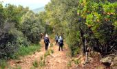 Excursión Senderismo Les Mayons - FFRandonnée-Sur_les_traces_du_decauville - Photo 12