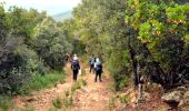 Trail Walking Les Mayons - FFRandonnée-Sur_les_traces_du_decauville - Photo 12