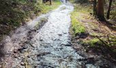 Tour Wandern Bouillon - Rochehaut 190323 - Photo 8