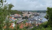 Tocht Stappen Horta (Angústias) - Horta, Faial: Monte Queimado et Monte da Guia (PRC 08 FAI) - Photo 2