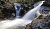 Tour Zu Fuß Aywaille - AY21 Vallon du Ninglinspo - Photo 10