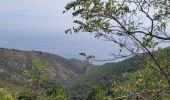 Tour Wandern Saint-Raphaël - la dent de l'ours Esterel - Photo 1