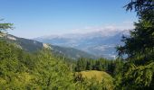 Trail Walking Crots - col de la rousse et pic de charance - Photo 10