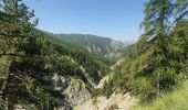 Trail Walking Beauvezer - 12-07-2023 Gorges de Saint Pierre  - Photo 2