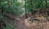 Randonnée Marche Fontainebleau - Rochers d'Avon - Photo 1