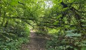 Tocht Stappen Chimay - Lompret - bois de Blaimont - Lompret - Photo 1