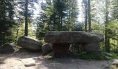 Tour Wandern Reinhardsmünster - table des Géants  - Photo 4