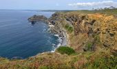 Tocht Stappen Roscanvel - La pointe des Espagnols Boucle 18 km - Photo 5