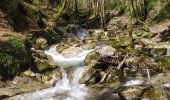 Trail Walking Saint-Vincent-de-Mercuze - Cascades de l'Alloix - Photo 14