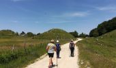 Excursión A pie Mendicino - (SI U24) Casellone Forestale di Monte Cocuzzo - Passo della Crocetta - Photo 8