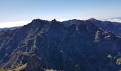 Percorso Marcia Ilha - Madère : vers le Pico Ruevo sommet de l'île - Photo 20