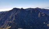 Tour Wandern Ilha - Madère : vers le Pico Ruevo sommet de l'île - Photo 20