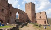 Excursión Senderismo Wangenbourg-Engenthal - Le donjon du Wangenbourg - Photo 20