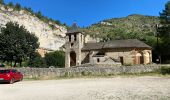 Tour Wandern Gorges du Tarn Causses - Saint Chely 17 km - Photo 2