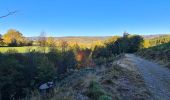 Excursión Senderismo Stoumont - A la découverte du ruisseau du Roannay et le village de Moulin du Ruy - Photo 11