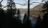 Trail Walking Xonrupt-Longemer - 25022021 Les trois lacs - Photo 1