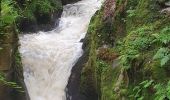 Excursión Senderismo Arfeuilles - la cascade de pisserotte - Photo 1