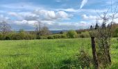 Trail Walking Theux - la reid . vert buisson . charmille / variante  - Photo 13