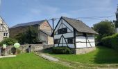 Trail Walking Durbuy - Wéris - Photo 1