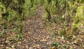 Trail Walking Sillans-la-Cascade - 2023-10-22 La Bresque mystérieuse  - Photo 5