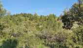 Tocht Stappen Boulbon - le château de Boulbon - Photo 2