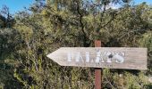 Tour Wandern Fontjoncouse - Fontjoncouse Saint Victoire  - Photo 9