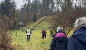 Trail Walking Daverdisse - Porcheresse  - Photo 18