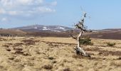 Tour Wandern Valcivières - supeyres pradeaux - Photo 8