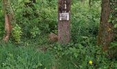 Trail Walking Philippeville - Merlemont 100522 - Photo 9