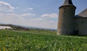 Tour Wandern Ciney - CHEVETOGNE _ Marche  Fédérale _ NA _ 25/04/2022 - Photo 3