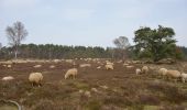 Randonnée A pied Apeldoorn - Welkom op de Loenermark! Zwarte route - Photo 10