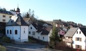 Tocht Te voet Schlangenbad - Glaabacher Almauftrieb - Photo 7