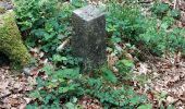 Tour Wandern Beauraing - Froidfontaine 010522 - Photo 9