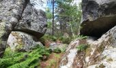 Tocht Stappen Fontainebleau - Fontainebleau Circuit PR Sentier Denecourt 5 - Photo 13