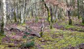 Trail Walking Ittre - Ittre, Bois des Frères, Champ d'Hurbise - Photo 8